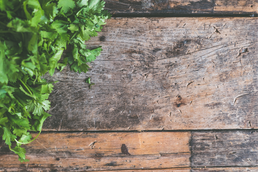 The Role of Prebiotics in Supporting a Healthy Gut Microbiome