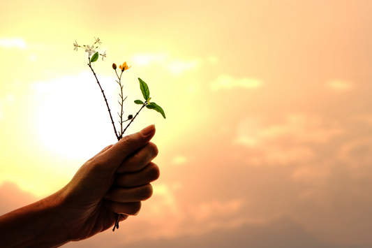 How Gratitude Quietly Rewires Your Stress